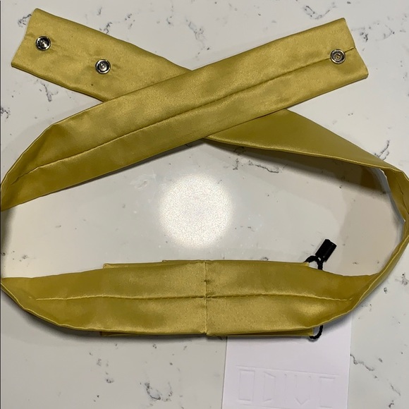 Silk belt - Picture 4 of 5